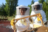 DOĞAL BAL - Hobileri Gelir Kaynakları Oldu