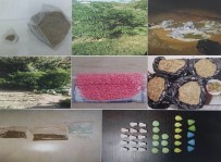 Narkotimden Uyuşturucu Operasyonu Açıklaması 15 Tutuklama