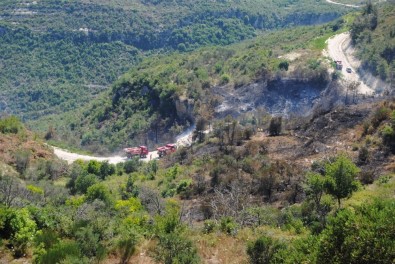 Suriye Sınırındaki Yangın Türkiye'ye Sıçradı