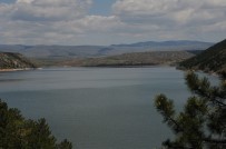 Ankara'da 'Çöl Sıcaklarında' Rekor Su Tüketimi...