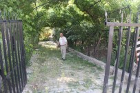 KAPALI ALAN - Bölgenin İlk Ve Tek 'Hobi Bahçesi' Şaphane'de