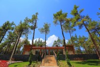 OSMAN ZOLAN - Çal Mesireliği Tamamlandı