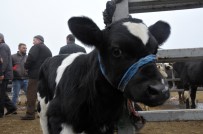 ZAM(SİLİNECEK) - Çiğ Süte Zam