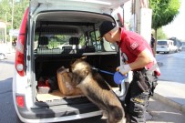 Diyarbakır'da 450 Polisle 'Narko Sokak' Uygulaması