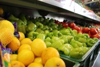 KONTAKT LENS - İşte Açlık Ve Yoksulluk Sınırları