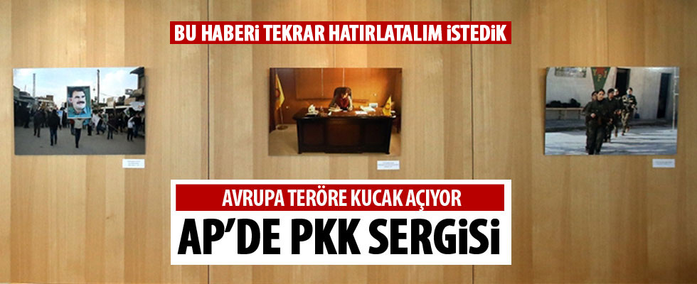 Avrupa Parlamentosu'ndaki PKK sergisi akıllarda