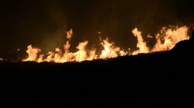 Bodrum Alevler Teslim Oldu Açıklaması 20 Hektarlık Sit Alanı Kül Oldu