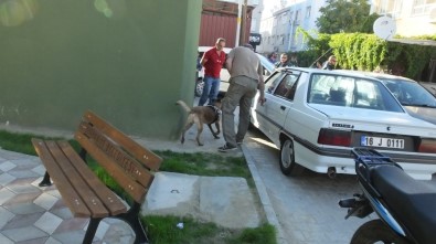 Burhaniye'de Polis Uyuşturucu Satıcılarına Geçit Vermiyor