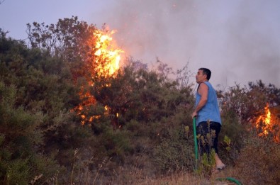 Didim'deki Yangın Yazlıkçıları Korkuttu