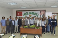 SOĞUK HAVA DEPOSU - Her Yer Kavrulurken Onlar Güvende