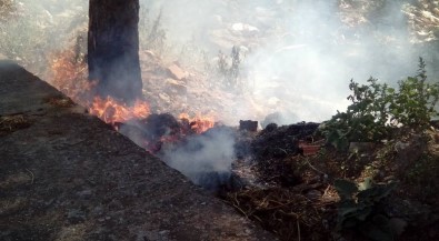 Manisa'da Sağlık Ocağı Yakınında Yangın