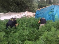 Muş'ta Uyuşturucu Operasyonu