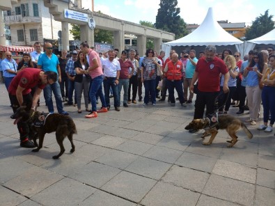 Narkotik Eğitim Tırı Bakırköy'de