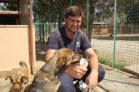 YAVRU KÖPEKLER - Sıcaktan Bunalan Köpekler Dondurma Ve Duşla Serinletiliyor