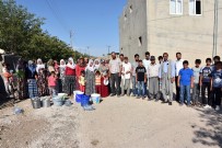 KOLERA - Adıyaman'da 27 Köy Susuz Kaldı