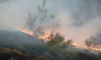 Doğanyol'daki Arazi Yangını Güçlükle Kontrol Altına Alındı