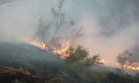 Doğanyol'daki Arazi Yangını Güçlükle Kontrol Altına Alındı Haberi