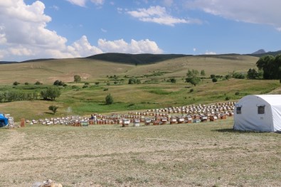 Erzincan'da Tarımsal Üretim Yapan Tesislere Ziyaret