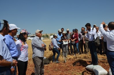 Harran Üniversitesi'nden Örnek Çalışma