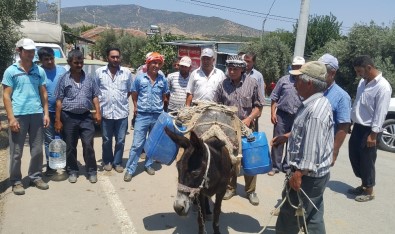 İzmir'de Mahalleli Eşek Sırtında Su Taşıyor