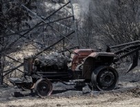 ORMAN YANGıNLARı - İzmir'deki orman yangınından geriye kalanlar