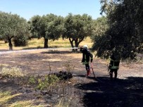 DİKKATSİZLİK - Söke'de İki Saat İçinde 3 Farklı Noktada Kuru Ot Yangını