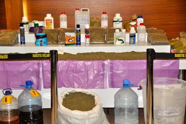 Bonzai baronlarından polise şok teklif!