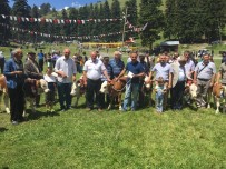 ŞİİR YARIŞMASI - 27. Sahara Pancarcı Festivali Renkli Görüntülere Sahne Oldu