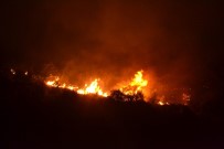 ORMAN İŞÇİSİ - Karşıyaka'daki Yangın Söndürüldü