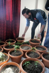 Kayseri'de 2017'Nin İlk 7 Ayında 977 Kişiye Uyuşturucudan İşlem Yapıldı
