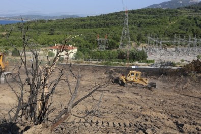 Orman Ve Su İşleri Bakanlığı İzmir'deki Yangın Sahasında Temizlik Çalışmalarına Şimdiden Başladı