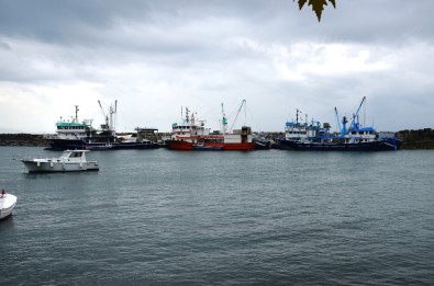 'Orta Su Trol Balık Avcılığının Yasaklanması' Talebi
