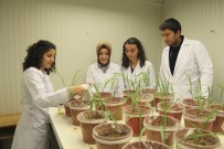 DIPLOMASı - SDÜ Ziraat Fakültesi Bir İlke İmza Atıyor