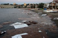 SPIRIT - Denize Dökülen Suntaların Sebebi Belli Oldu