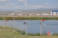 HAYDAR ALİYEV - Şeker Fabrikası'nın Koku Yayan Havuzu Tepki Çekiyor