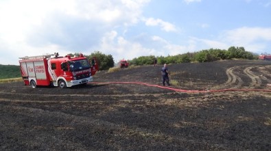 Silivri'deki Yangında 30 Dönümlük Ekili Alan Kül Oldu