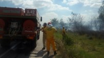 ORMAN YANGıNLARı - Tekirdağ'da 3 Ay Ormanlara Girmek Yasak