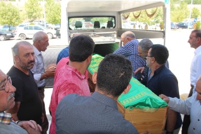 5 Yaşındaki Ahmet'i Erik Öldürdü