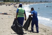 DAVUTLAR - Büyükşehir İle Sahiller Pırıl Pırıl