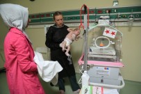 İSMAİL BALABAN - Miraç Bebek Erzurum BEAH'ta Hayata Yeniden Merhaba Dedi