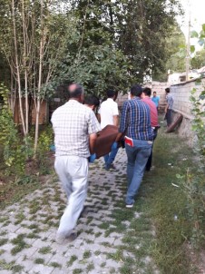 Eşini öldüren kişi intihar etti!