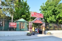 HÜKÜMLÜLER - Cezaevinde Kır Düğünü