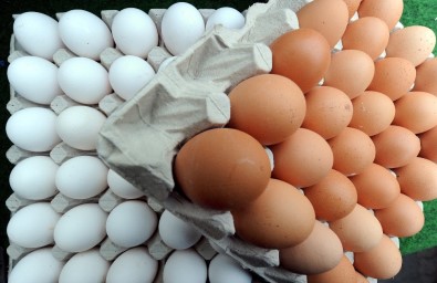 Hollanda'da Zehirli Yumurta Skandalında 2 Gözaltı