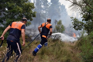 Orman Yangınına İlk Müdahaleyi Pendik Belediyesi Yaptı