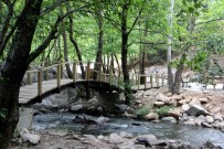 İRFAN TATLıOĞLU - Bu Kanyona Girenler Büyüleniyor