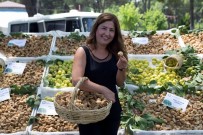 İBRAHIM KÜÇÜK - Kilosu 200 TL'den alındı