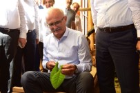 UYKUSUZLUK - Vali Ve Başkan Tütün Dizdi