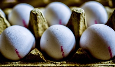 AB Yumurta Skandalına El Attı Açıklaması ''Birbirinizi Suçlamayı Bırakın''