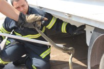 Aracına 1.5 Metrelik Yılan Giren Sürücüyü Korkudan Kaşıntı Tuttu