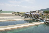 KAYIP KAÇAK - BUSKİ Muhtarların Gönlüne 'Su' Serpti